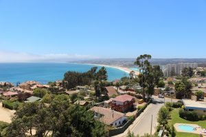 algarrobo-chile