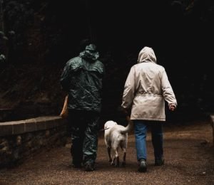 cane-ha-paura-del-temporale-696×603-1