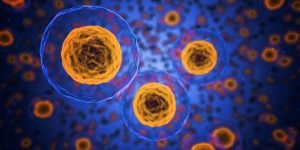 cells-1872666_960_720