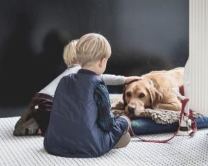 convivenza-cane-bambino-696×555-1