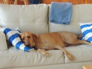 disturbi-del-sonno-696×522-1