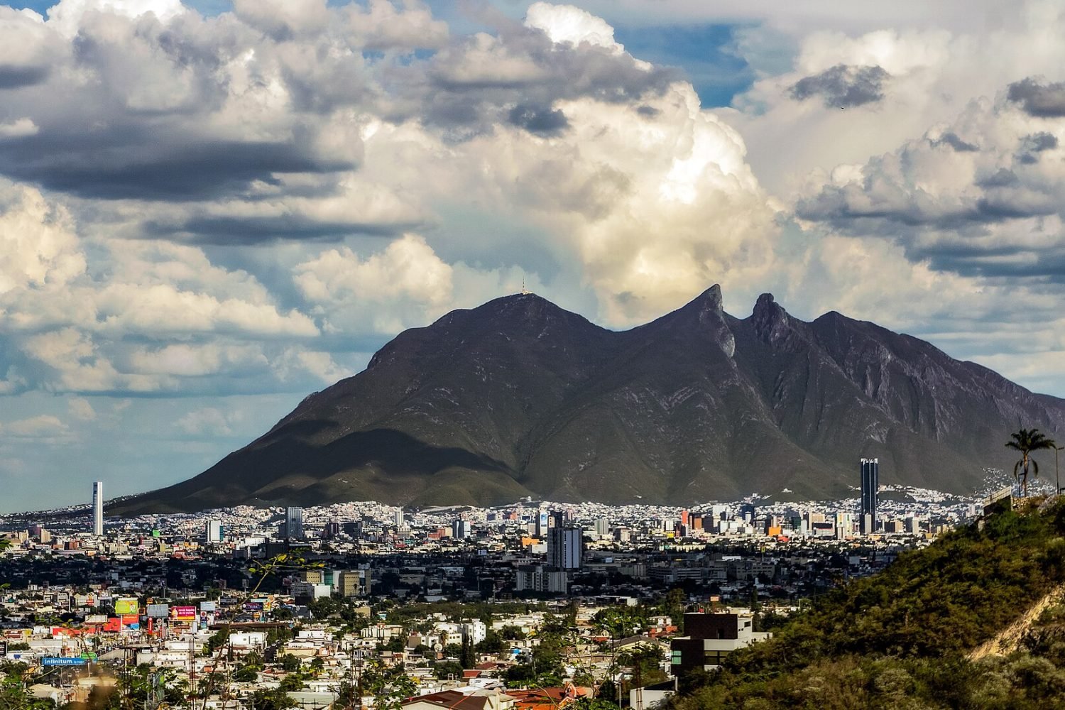 Clínicas veterinarias en Monterrey