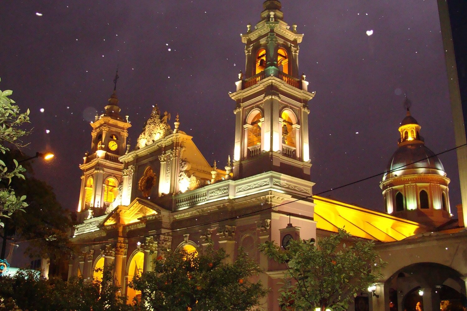 Clínicas veterinarias en Salta