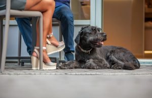 shutterstock_594996962